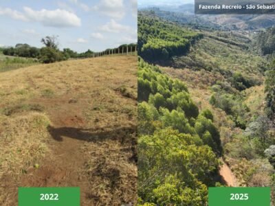 Peanuts celebra 75 anos com ações globais e reforça no Brasil o impacto do programa 