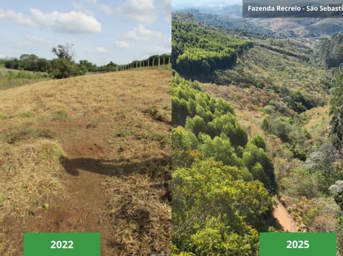 Peanuts celebra 75 anos com ações globais e reforça no Brasil o impacto do programa 